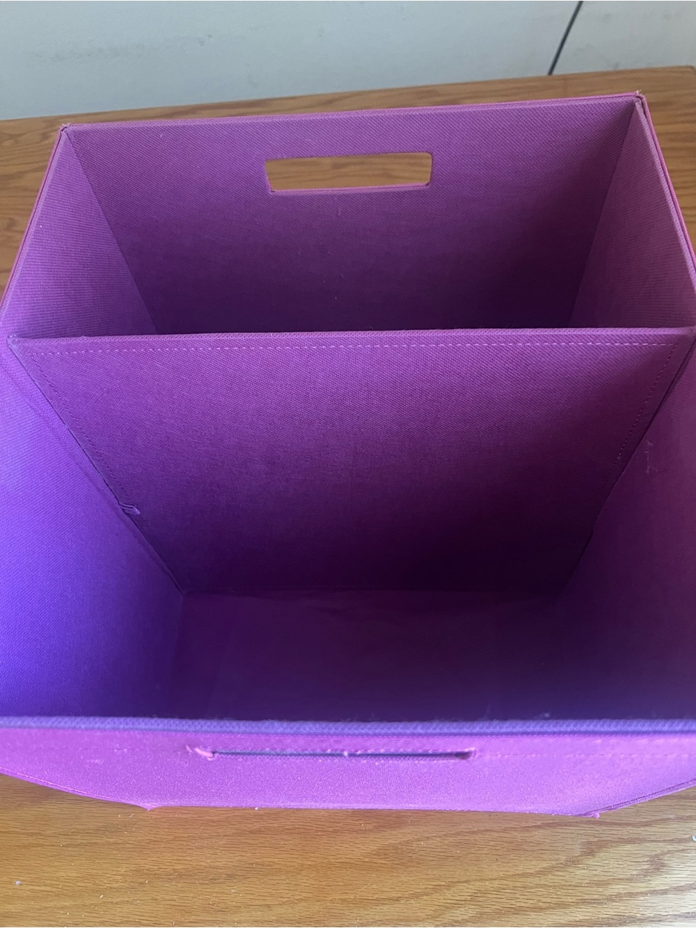 Collapsible Large Storage Bin with Divider